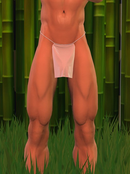 ACCESSORY LOINCLOTH 2.0.0